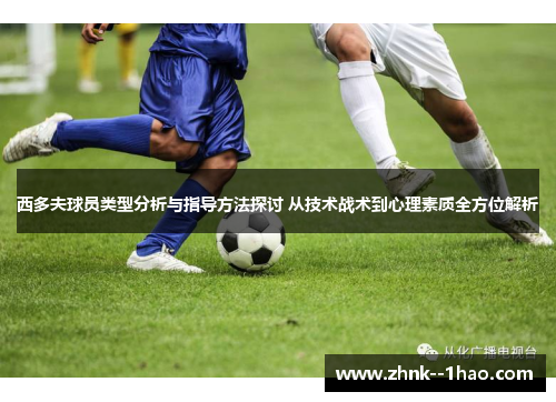 西多夫球员类型分析与指导方法探讨 从技术战术到心理素质全方位解析