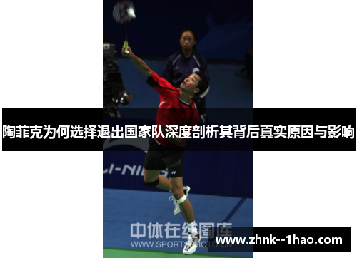 陶菲克为何选择退出国家队深度剖析其背后真实原因与影响 陶菲克为何选择退出国家队深度剖析其背后真实原因与影响