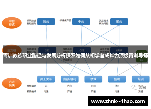 青训教练职业路径与发展分析探索如何从初学者成长为顶级青训导师