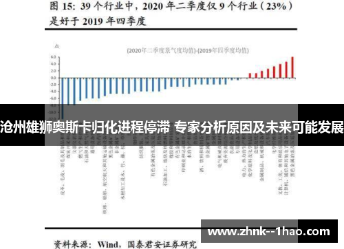 沧州雄狮奥斯卡归化进程停滞 专家分析原因及未来可能发展
