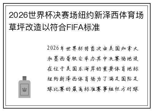 2026世界杯决赛场纽约新泽西体育场草坪改造以符合FIFA标准
